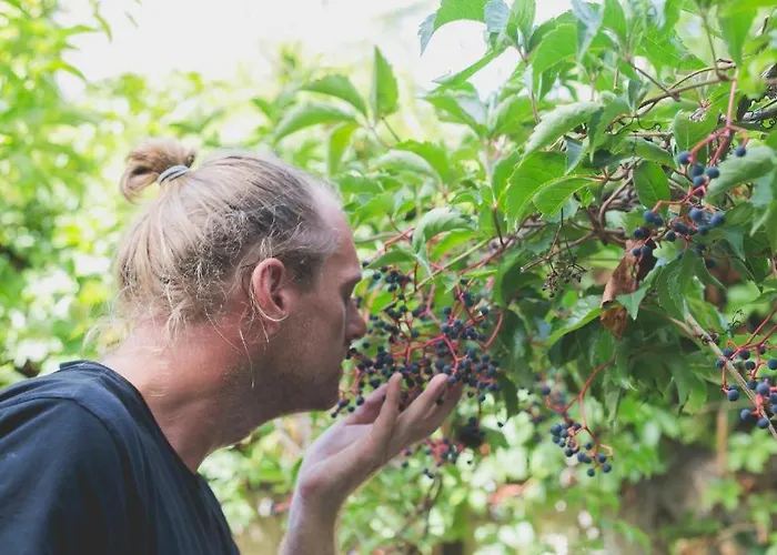 Hippie בית הארחה