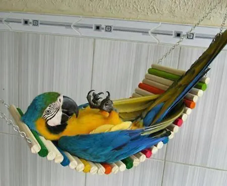 Hippie * Chania (Crete)