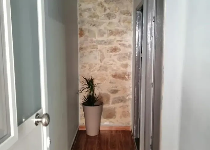 Casa de hóspedes Hippie *