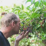 Hippie Gæstehus