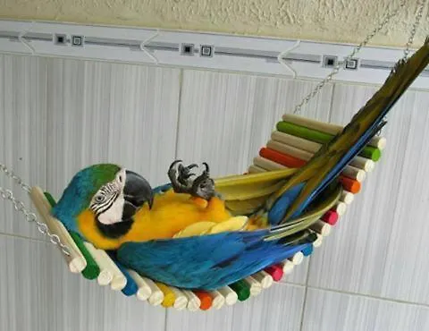 Hippie * Hriszí Aktí Haniá